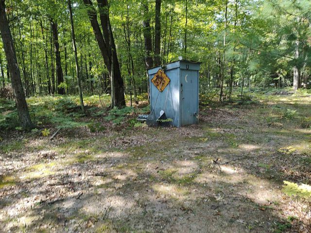 4317 Elbow Lake Road, Prescott, MI 48756