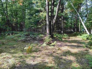 4317 Elbow Lake Road, Prescott, MI 48756