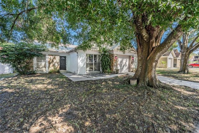 8508 MISTY RIVER COURT, Tampa, FL 33637