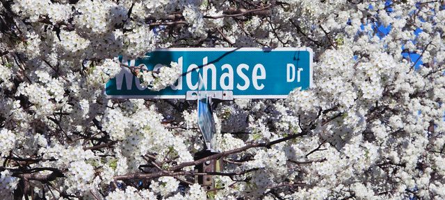 64 WOODCHASE DR, Brighton, TN 38011