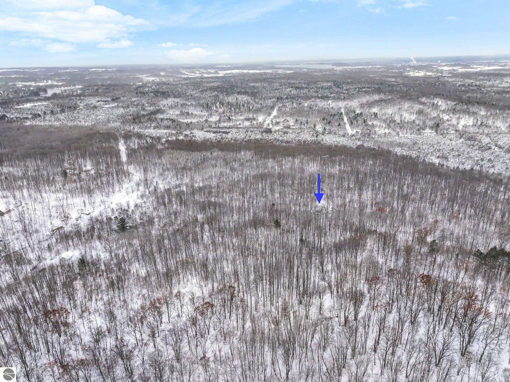 Image 11 of property listing at 000 W Falmouth Road, Cadillac, MI 49601