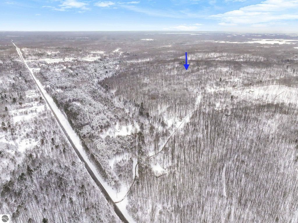 Image 14 of property listing at 000 W Falmouth Road, Cadillac, MI 49601