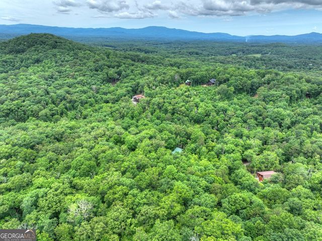 295 Ross Drive, Mineral Bluff, GA 30559