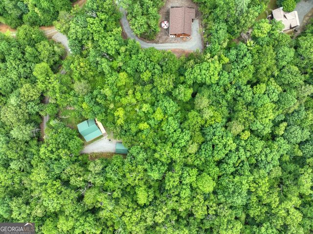295 Ross Drive, Mineral Bluff, GA 30559