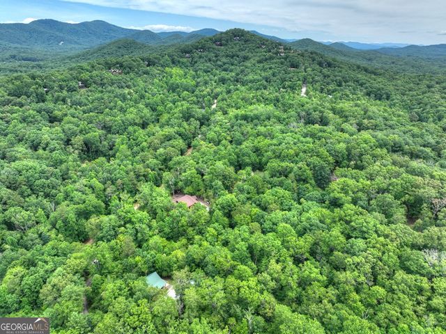 295 Ross Drive, Mineral Bluff, GA 30559