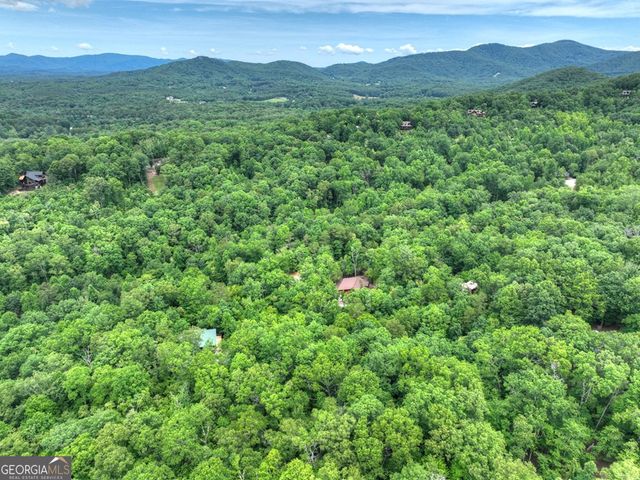 295 Ross Drive, Mineral Bluff, GA 30559
