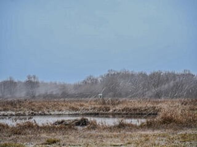 1991 N Concord Road, Albion, MI 49224