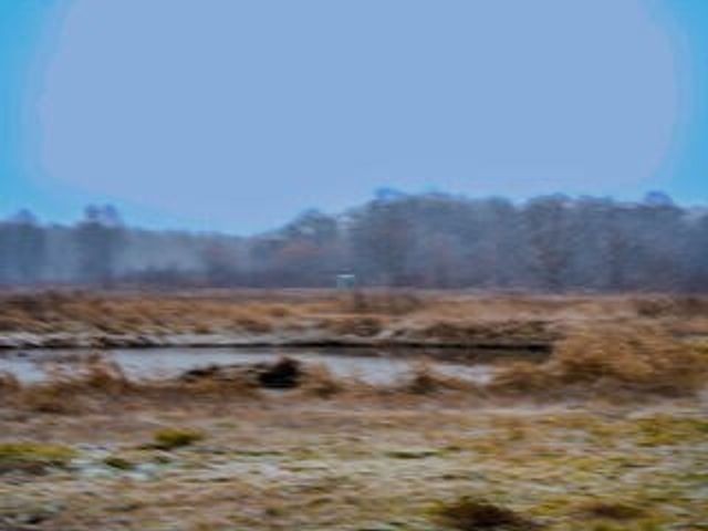 1991 N Concord Road, Albion, MI 49224