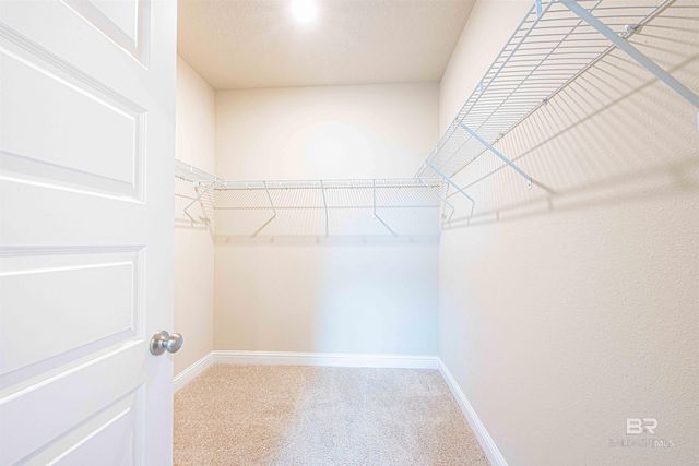 31544 Plover Court, Spanish Fort, AL 36527