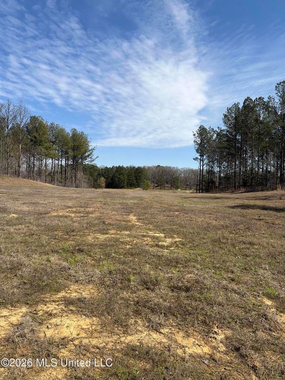 35 Deerwood Drive, Lake Cormorant, MS 38641 — exterior