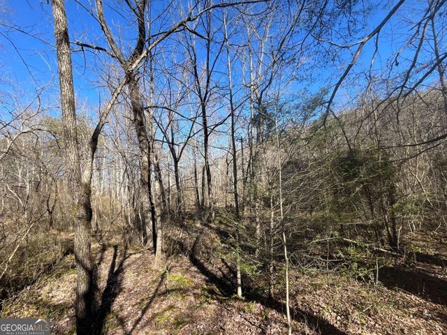 513 Trackrock Gap Road, Blairsville, GA 30512