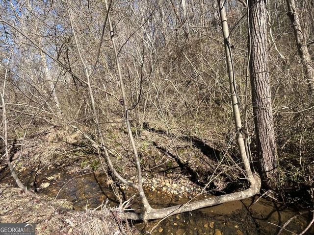 513 Trackrock Gap Road, Blairsville, GA 30512