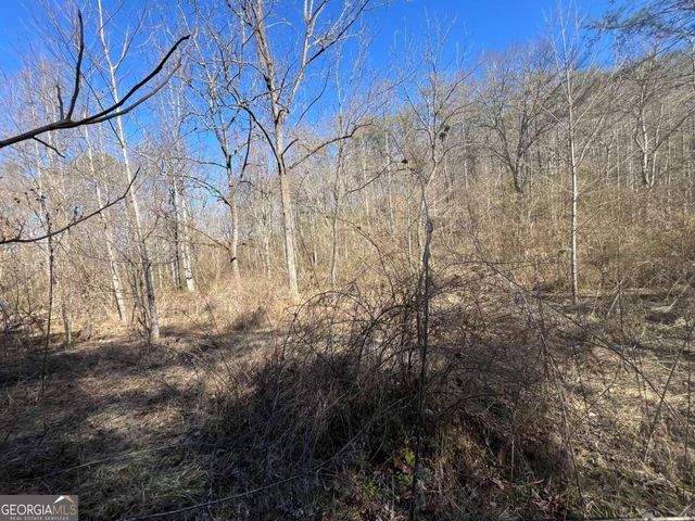 513 Trackrock Gap Road, Blairsville, GA 30512