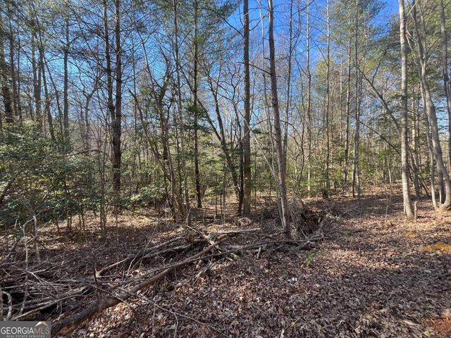 513 Trackrock Gap Road, Blairsville, GA 30512