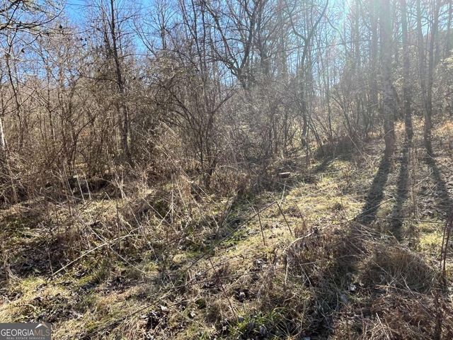 513 Trackrock Gap Road, Blairsville, GA 30512