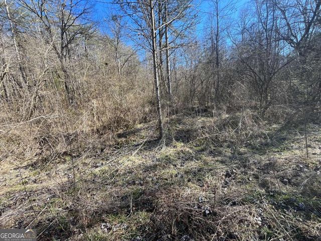 513 Trackrock Gap Road, Blairsville, GA 30512