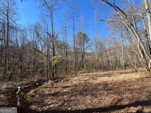 513 Trackrock Gap Road, Blairsville, GA 30512