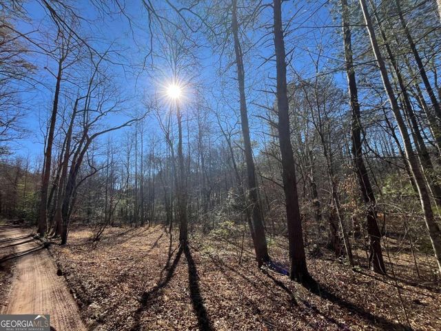 513 Trackrock Gap Road, Blairsville, GA 30512