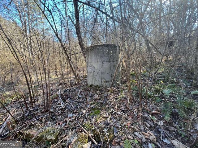 513 Trackrock Gap Road, Blairsville, GA 30512