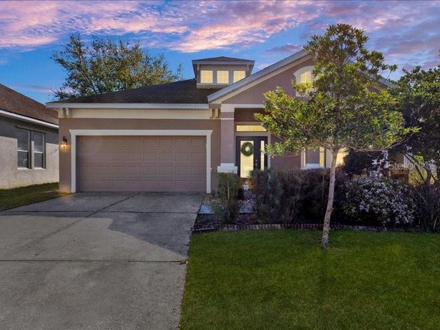 13305 TIGER LILLY LANE, Tampa, FL 33625