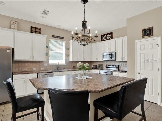 13305 TIGER LILLY LANE, Tampa, FL 33625