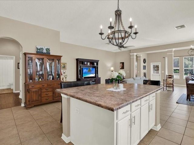 13305 TIGER LILLY LANE, Tampa, FL 33625