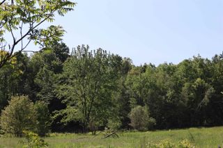 1041 Smead Road Lot 1, Salisbury, VT 05769
