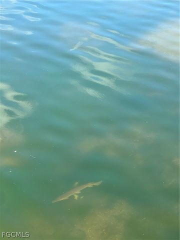 42 NE 13th AVE, Cape Coral, FL 33909