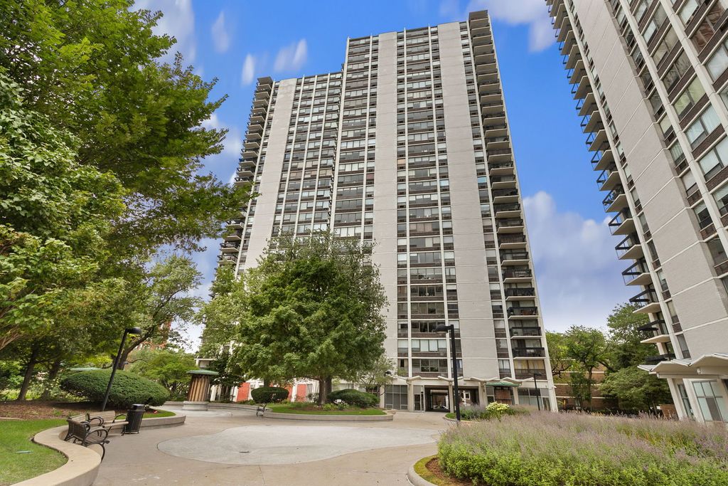 1460 N Sandburg Terrace 2001A, Chicago, IL 60610