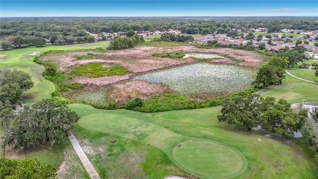 13540 PLANTATION LAKE CIRCLE, Hudson, FL 34669