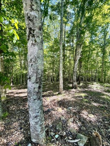 460 Mate Allen Rd, Gainesboro, TN 38562