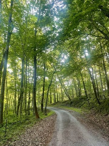 460 Mate Allen Rd, Gainesboro, TN 38562