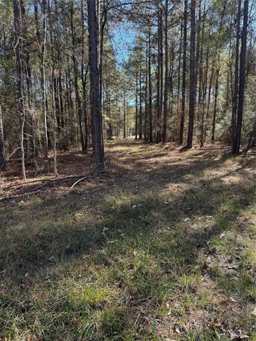 511 Queen Anne Way, Huntsville, TX 77340