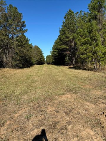 511 Queen Anne Way, Huntsville, TX 77340