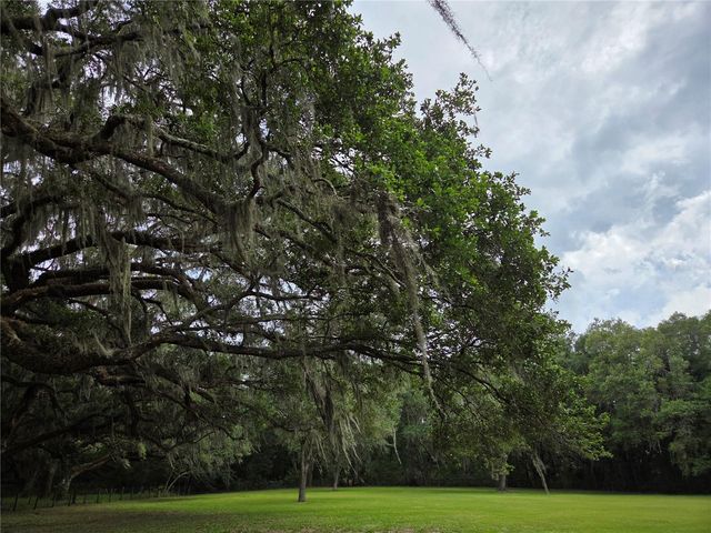 2450 SE 190TH TERRACE, Morriston, FL 32668