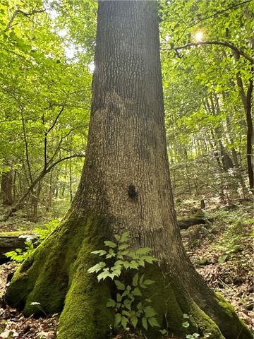 0 Matson Road, Ligonier Twp, PA 15658