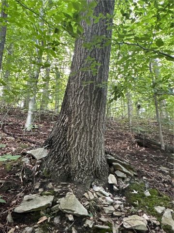 0 Matson Road, Ligonier Twp, PA 15658