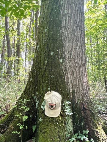 0 Matson Road, Ligonier Twp, PA 15658