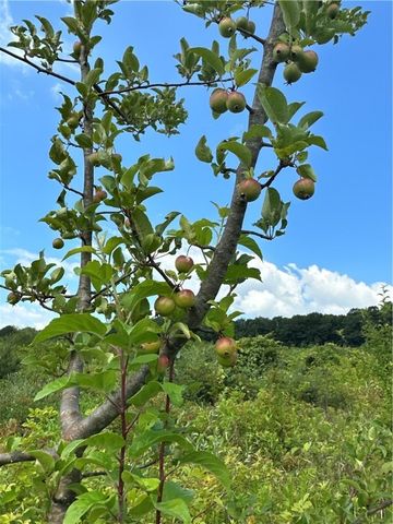 0 Matson Road, Ligonier Twp, PA 15658