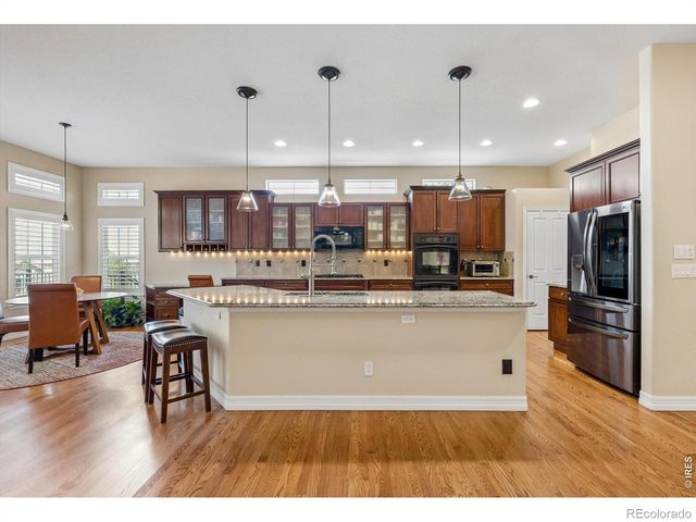 1505 Stonehill Court, Castle Rock, CO 80104