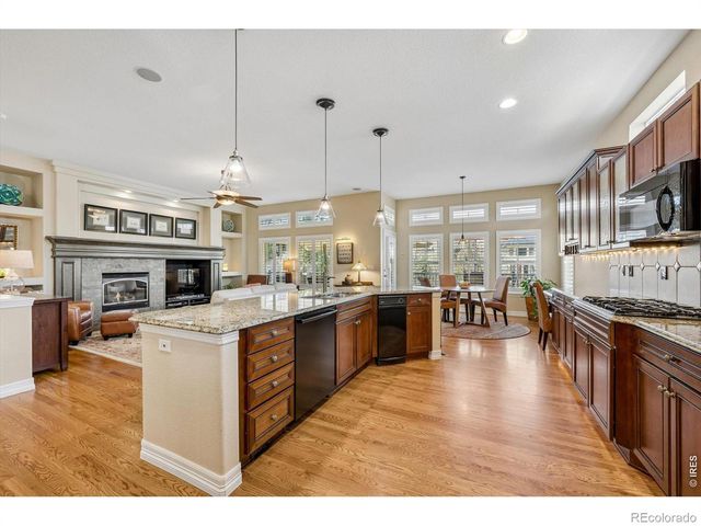 1505 Stonehill Court, Castle Rock, CO 80104