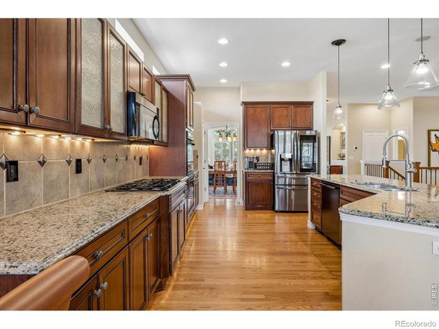 1505 Stonehill Court, Castle Rock, CO 80104