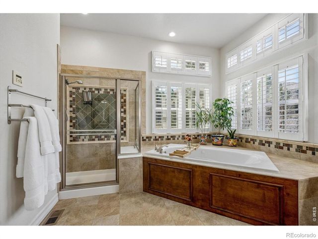 1505 Stonehill Court, Castle Rock, CO 80104
