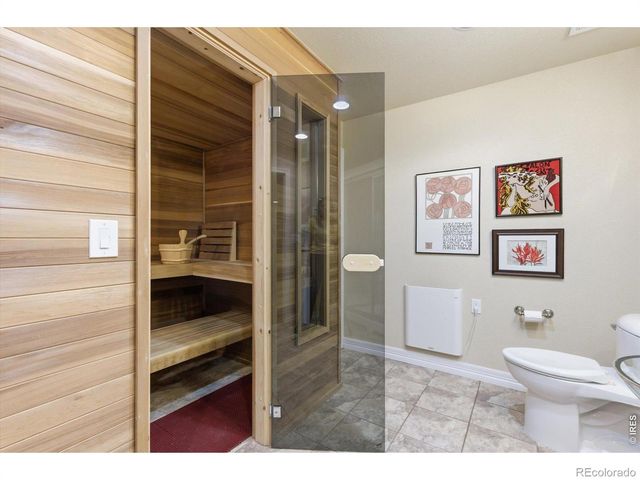 1505 Stonehill Court, Castle Rock, CO 80104