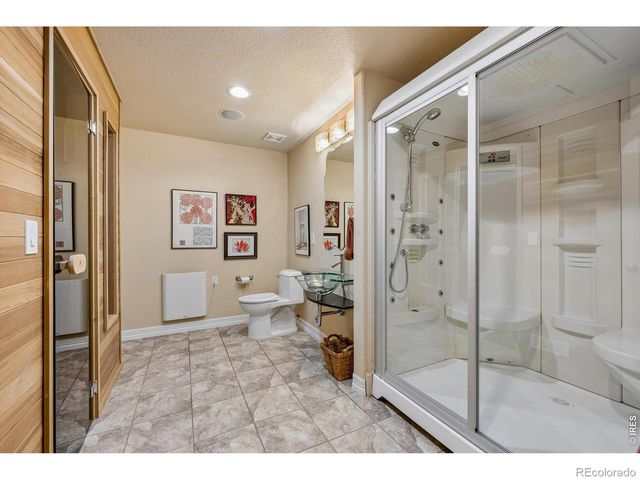 1505 Stonehill Court, Castle Rock, CO 80104