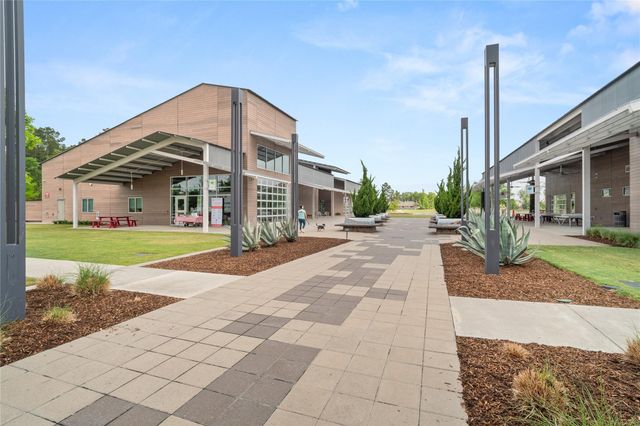 17362 Camillia Trail, Conroe, TX 77302