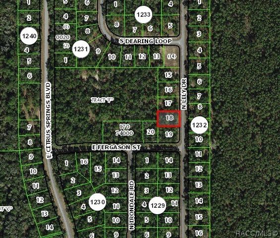 9538 N Lily Drive, Citrus Springs, FL 34434
