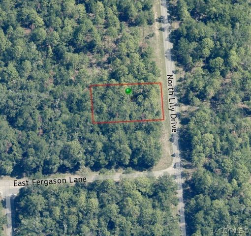 9538 N Lily Drive, Citrus Springs, FL 34434