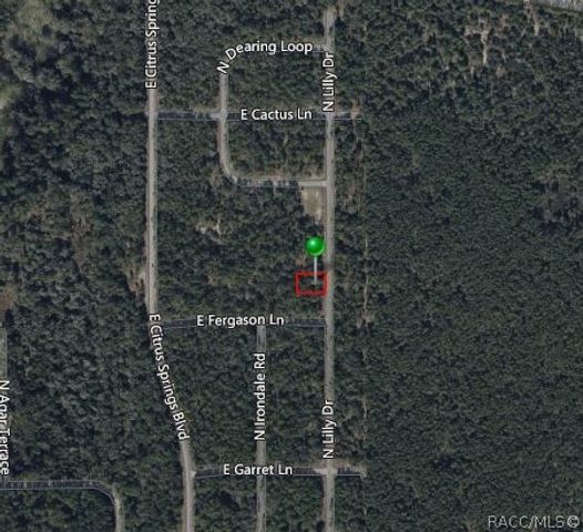 9538 N Lily Drive, Citrus Springs, FL 34434