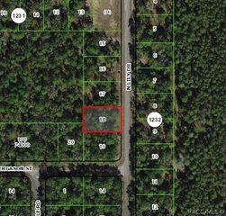 9538 N Lily Drive, Citrus Springs, FL 34434